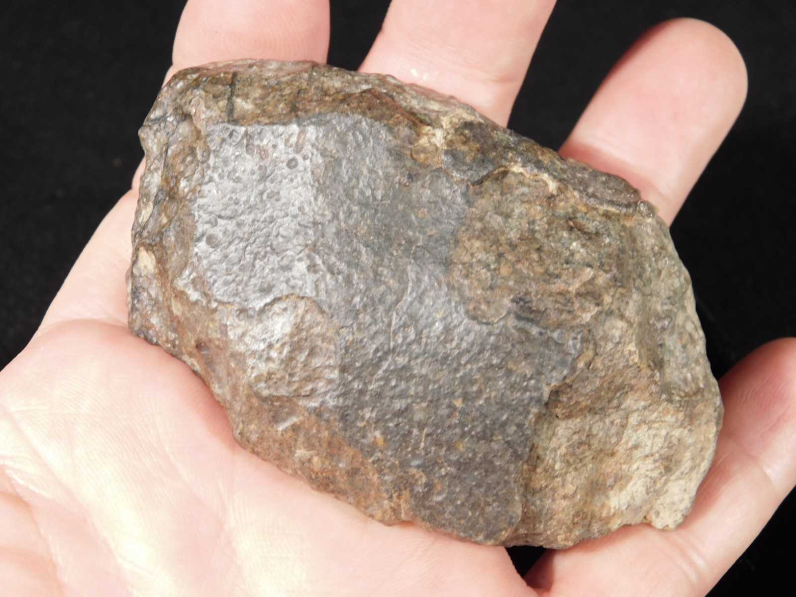 Larger N.W.A 869 Stony METEORITE with Dark Fusion Crust 197gr
