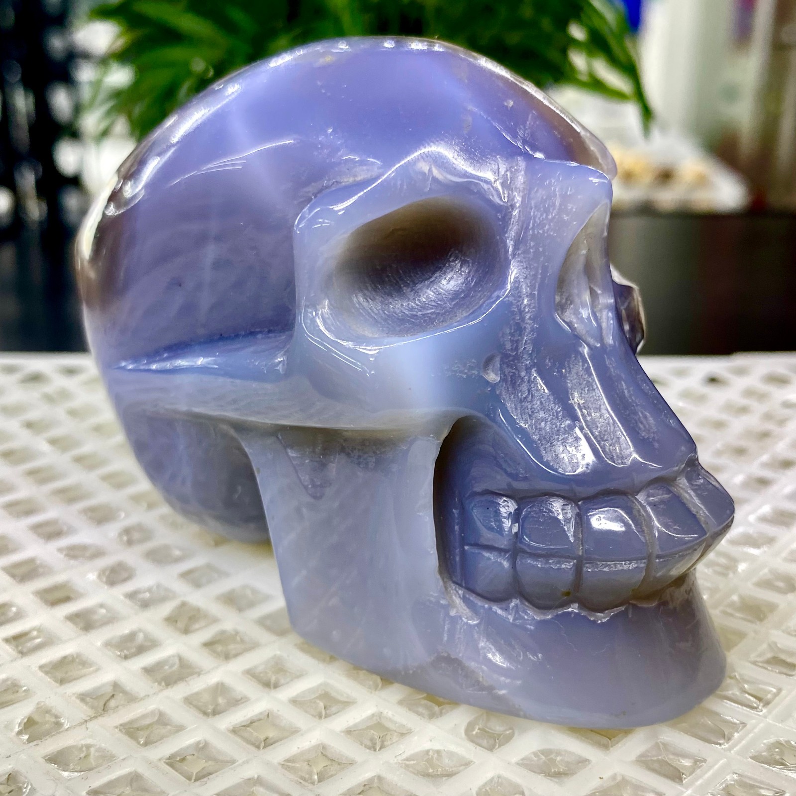 465G Natural Crystal Rare Banded Blue Flower Agate Skull Carving