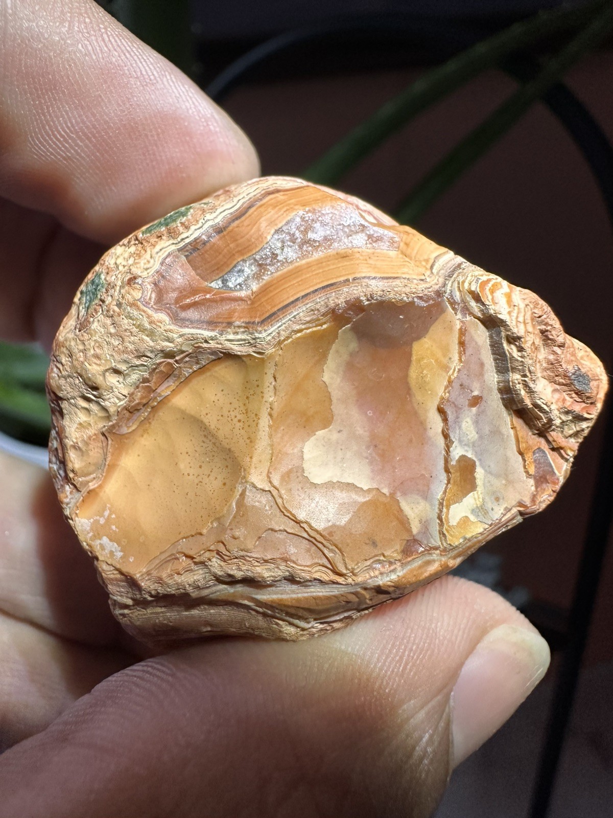 2.15 oz Lake Superior Very High-Quality Agate Fire Peeler Top Shelf Opaque Paint
