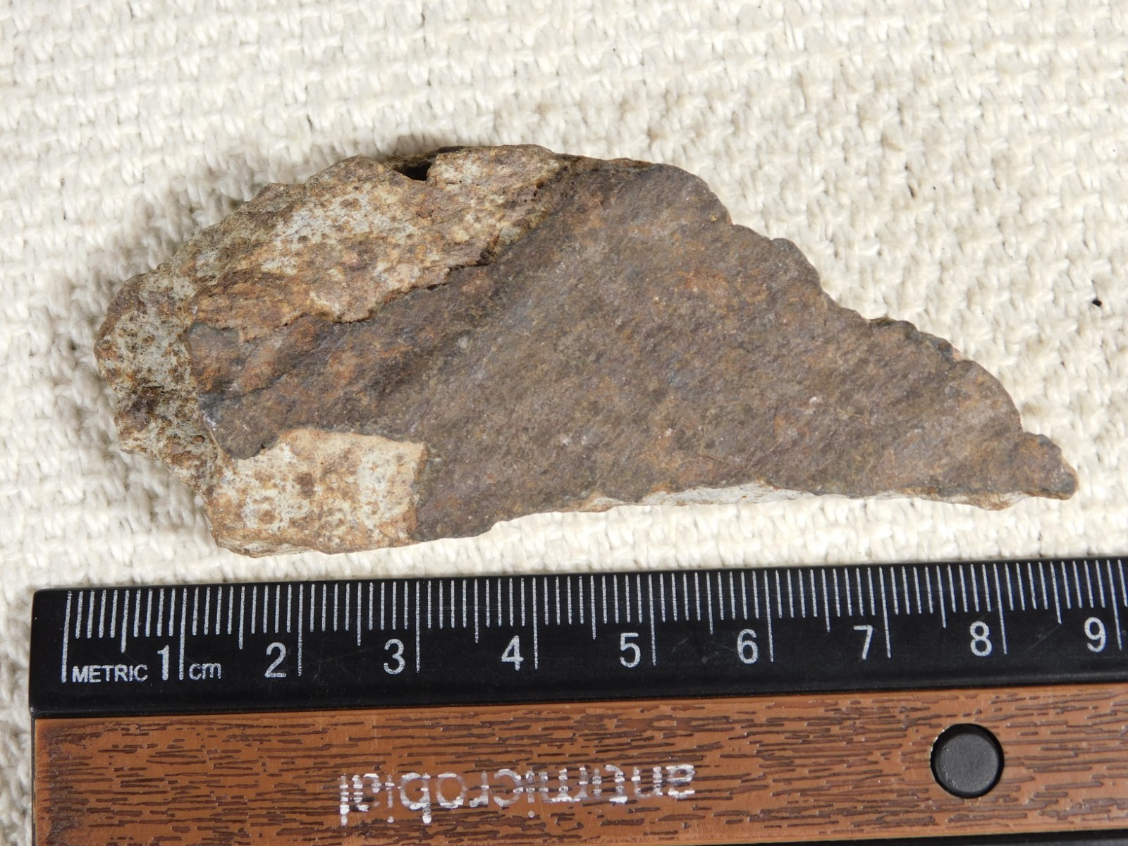 Classified NWA 8245 METEORITE Spots of Dark Fusion Crust! Erfoud, Morocco 68.7gr