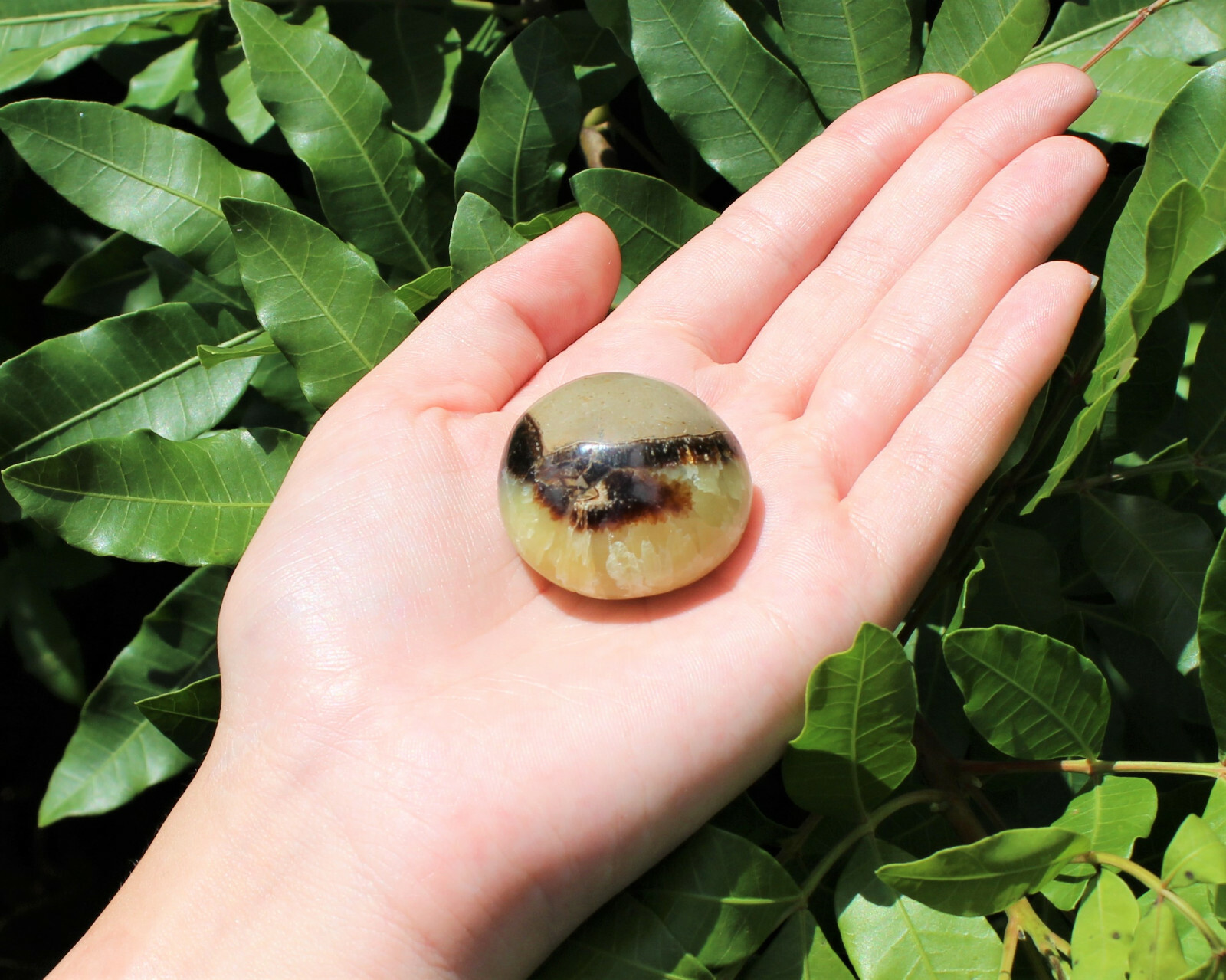 Septarian Hand Polished Palm Stone: ‘A’ Grade Septarian Pebble, Crystal