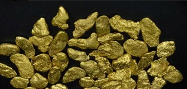 1/2 Pound Alaskan Gold Paydirt **GUARANTEED GOLD** INTERMEDIATE BAG!!