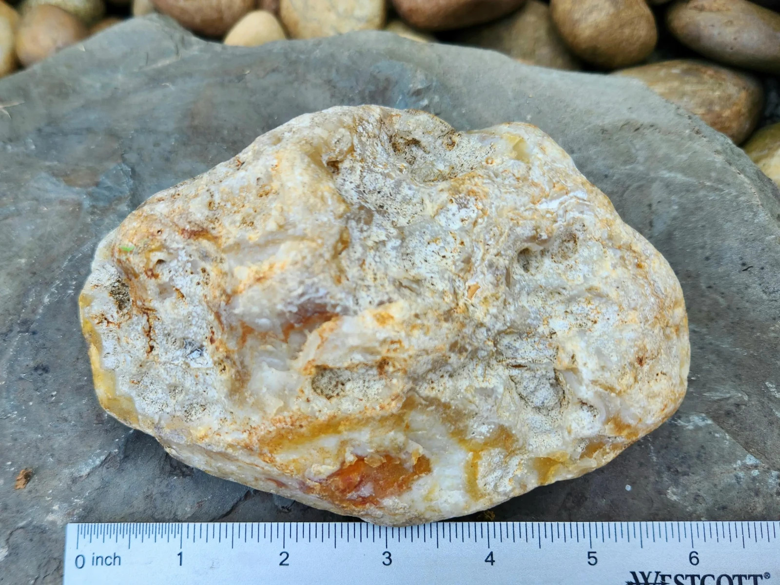 Large Oregon River Agate w/ Waterline Features, 2 lbs 4 oz, Chalcedony, Lapidary