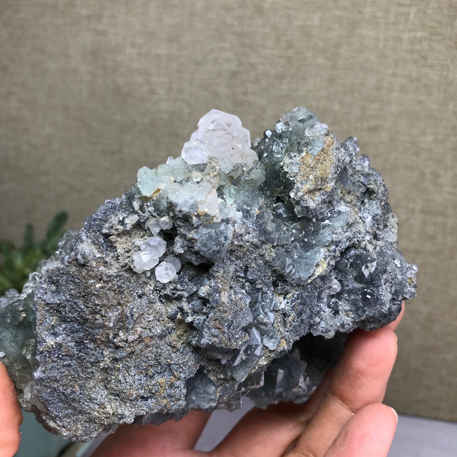 476g NATURAL Green Cubic FLUORITE paragenesis Crystal Cluster Specimen A4780