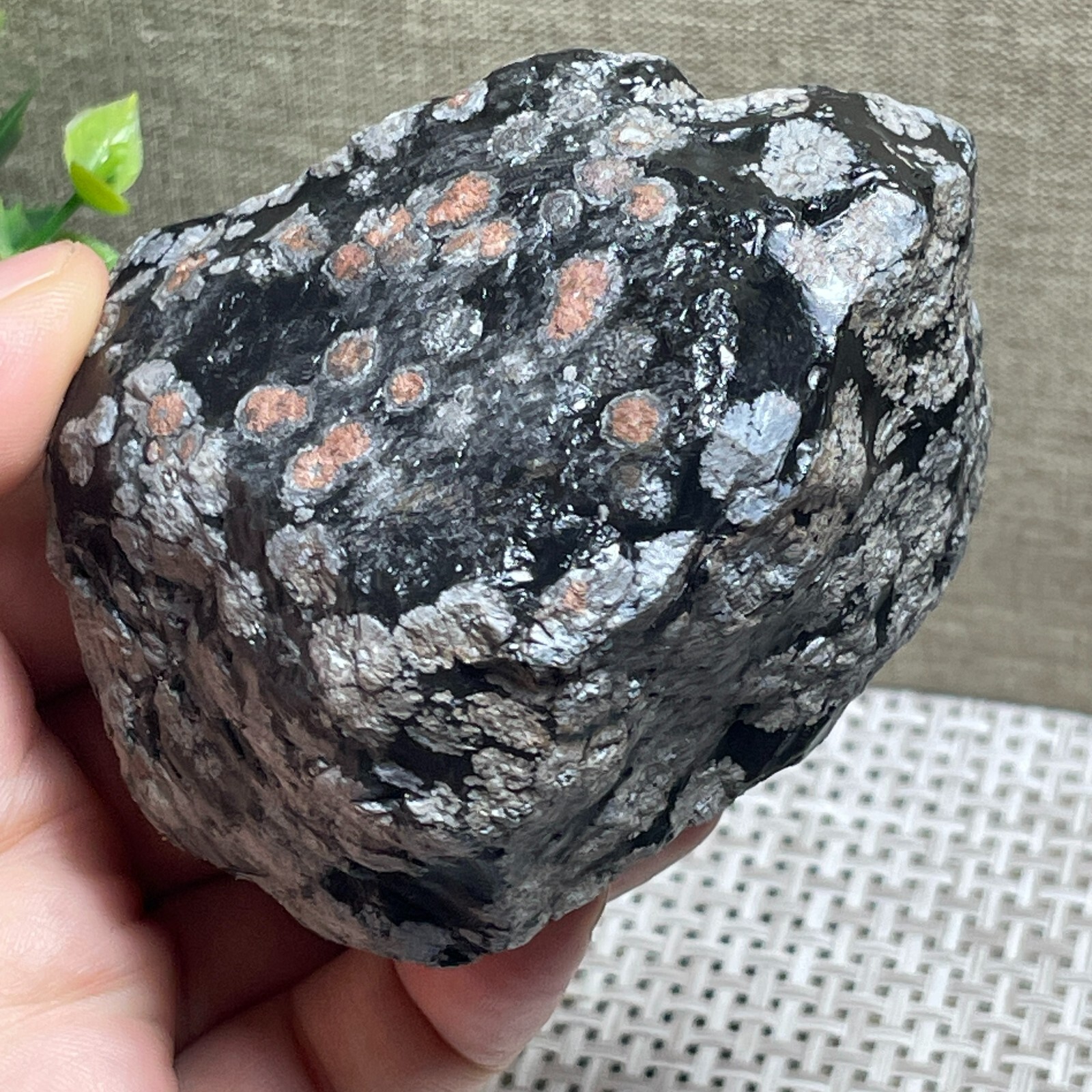 Snowflake Obsidian raw stone rock rough original specimen 300g A143
