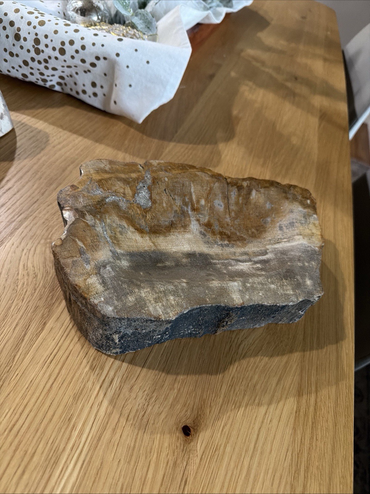 Large Petrified Wood carved And Polished Bowl 8.5 Amazing Statement Art