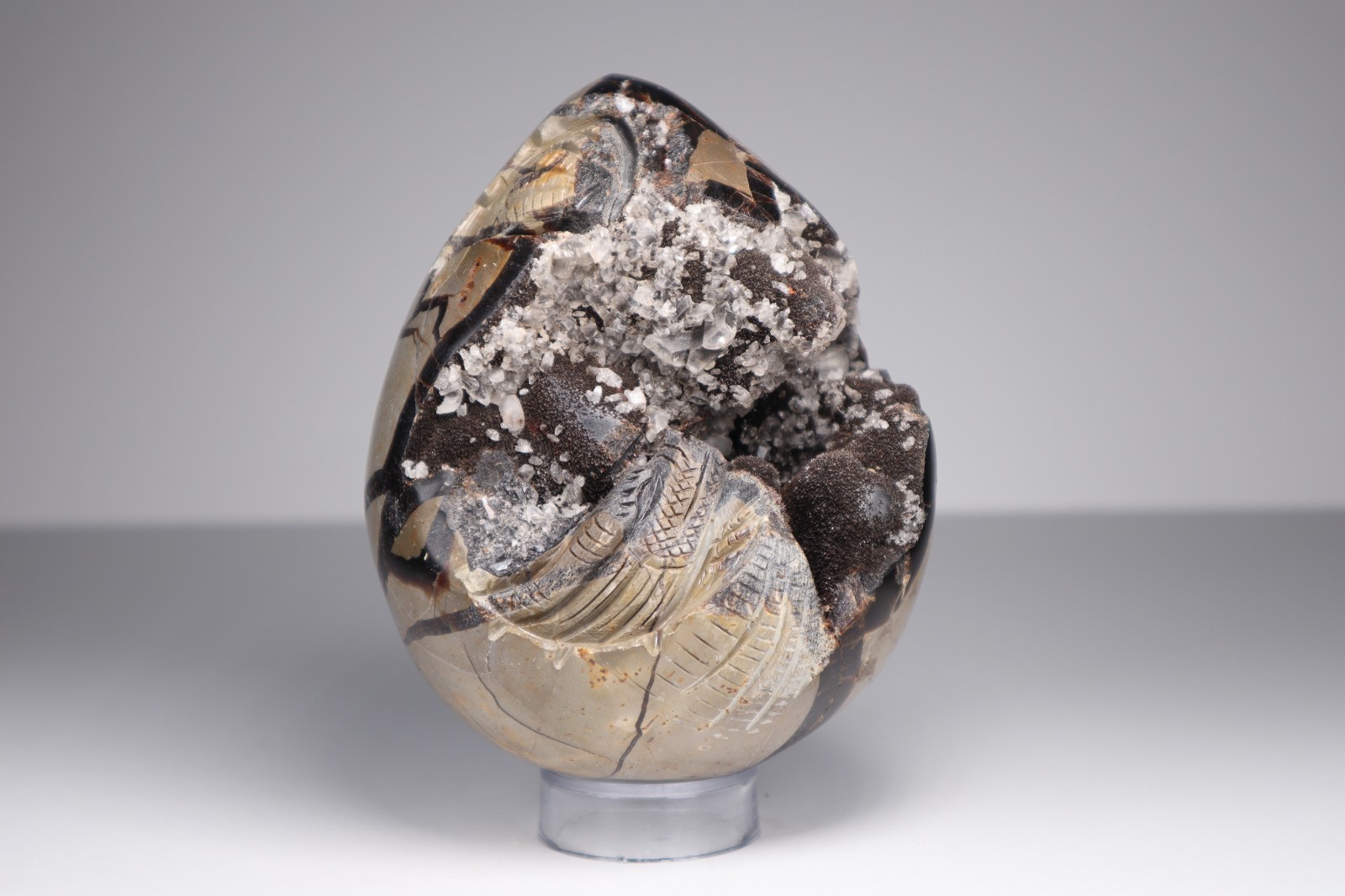 Huge Septarian Dragon Egg 4.3lb Calcite Crystal Cave Fossil Shell Display Stone