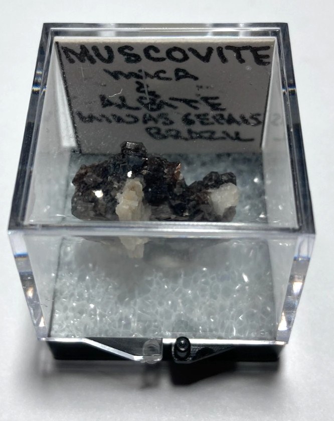 Muscovite and Albite Thumbnail from Brazil