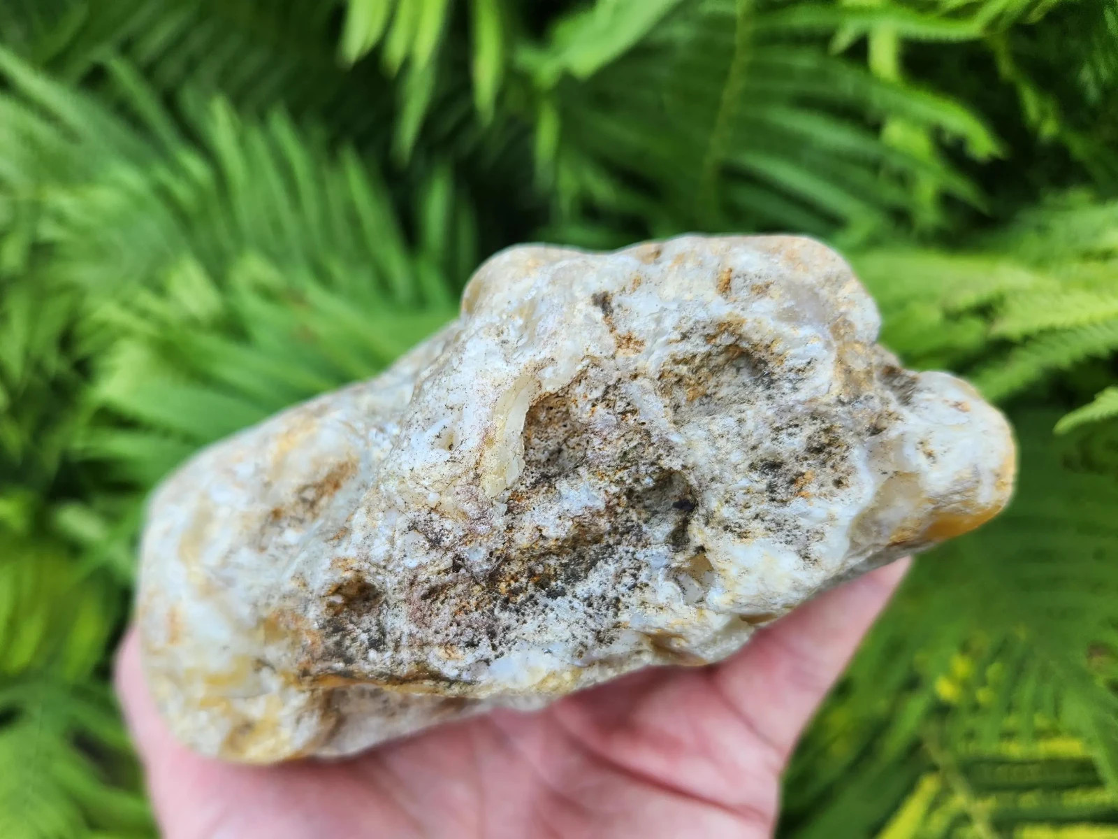 Large Oregon River Agate w/ Waterline Features, 2 lbs 4 oz, Chalcedony, Lapidary
