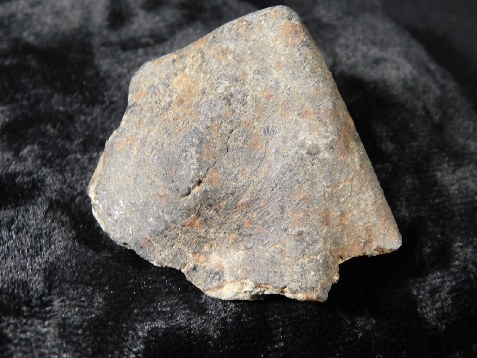 Classified NWA 8245 METEORITE 100% Natural FELL in Erfoud, Morocco 63.2gr