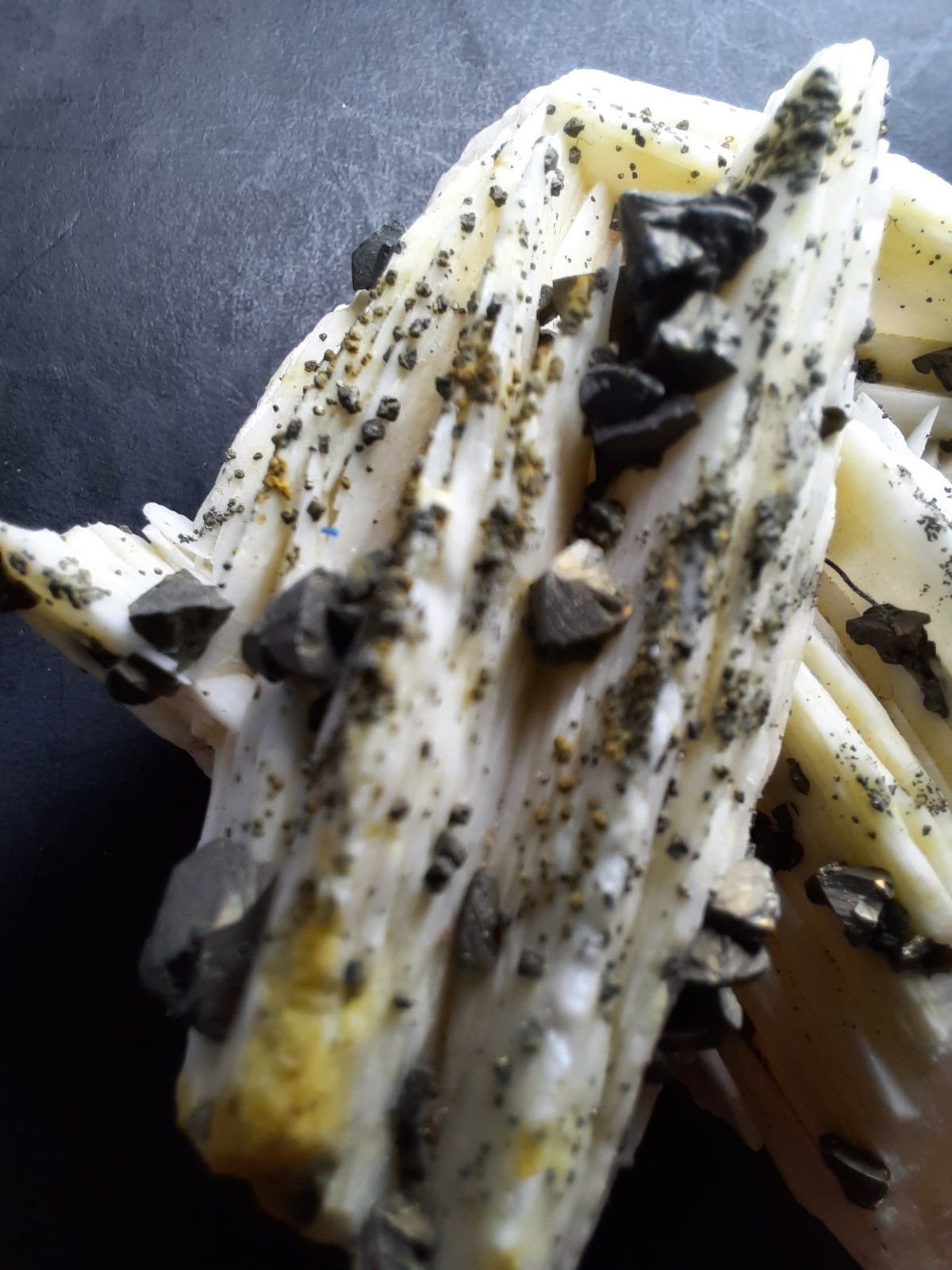 Pyrite Crystals on Barite, Morocco 2 1/2 x 1 5/8th x 1 inch