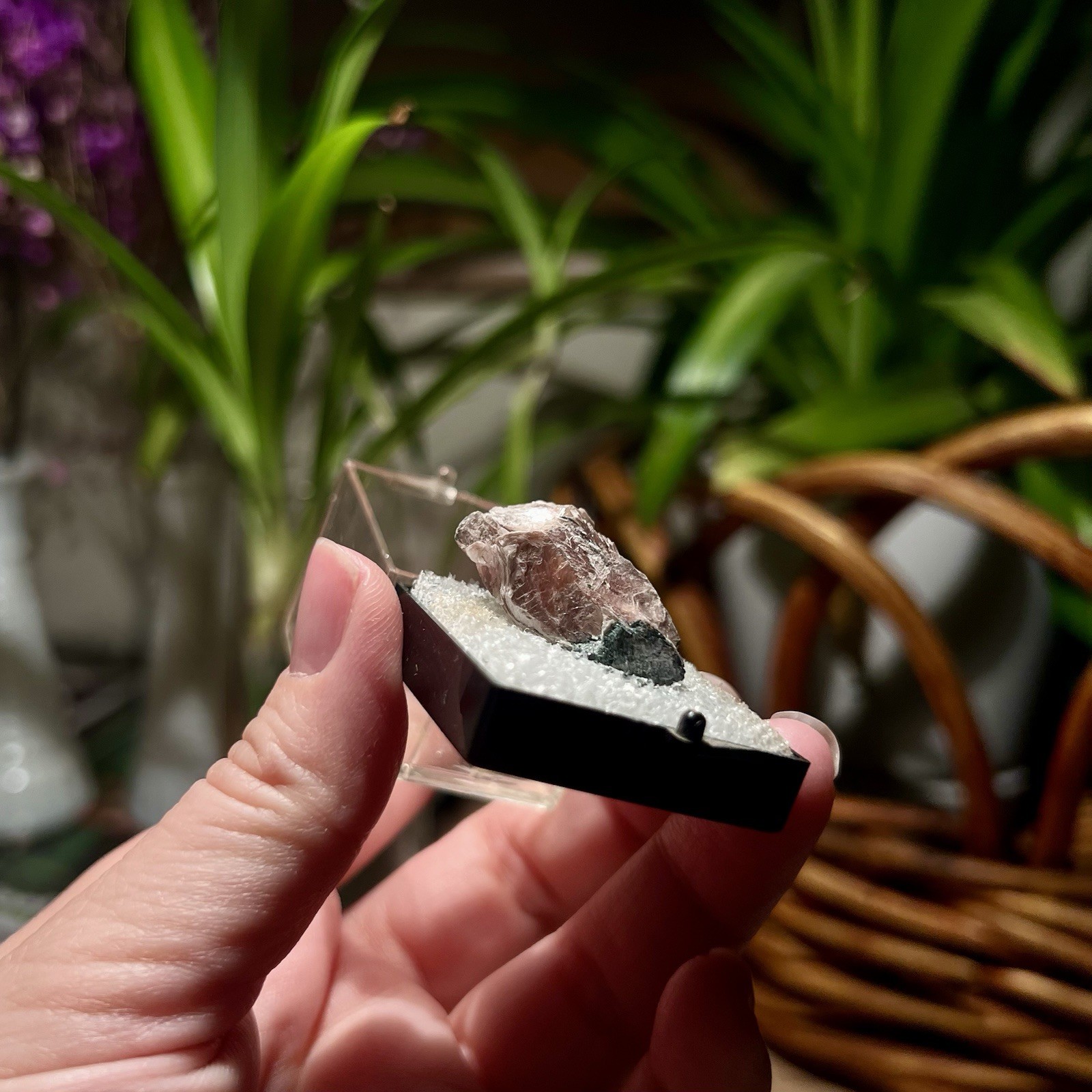 Margarite Thumbnail, Mineral Specimen, Uncommon