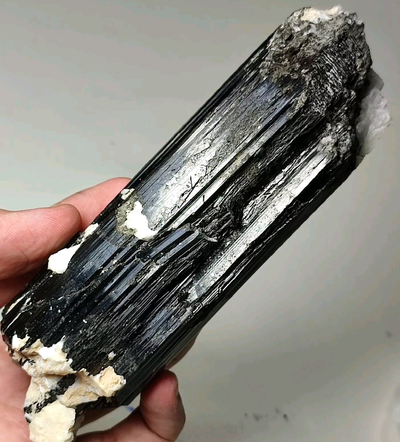 17cm Huge Black Tourmaline(Schorl) Specimen Combined With Albite-Shigar ,Pak.