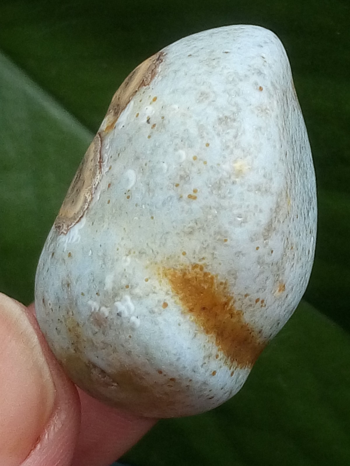 36mm Beautiful Natural Gobi agate eye agate stone collection