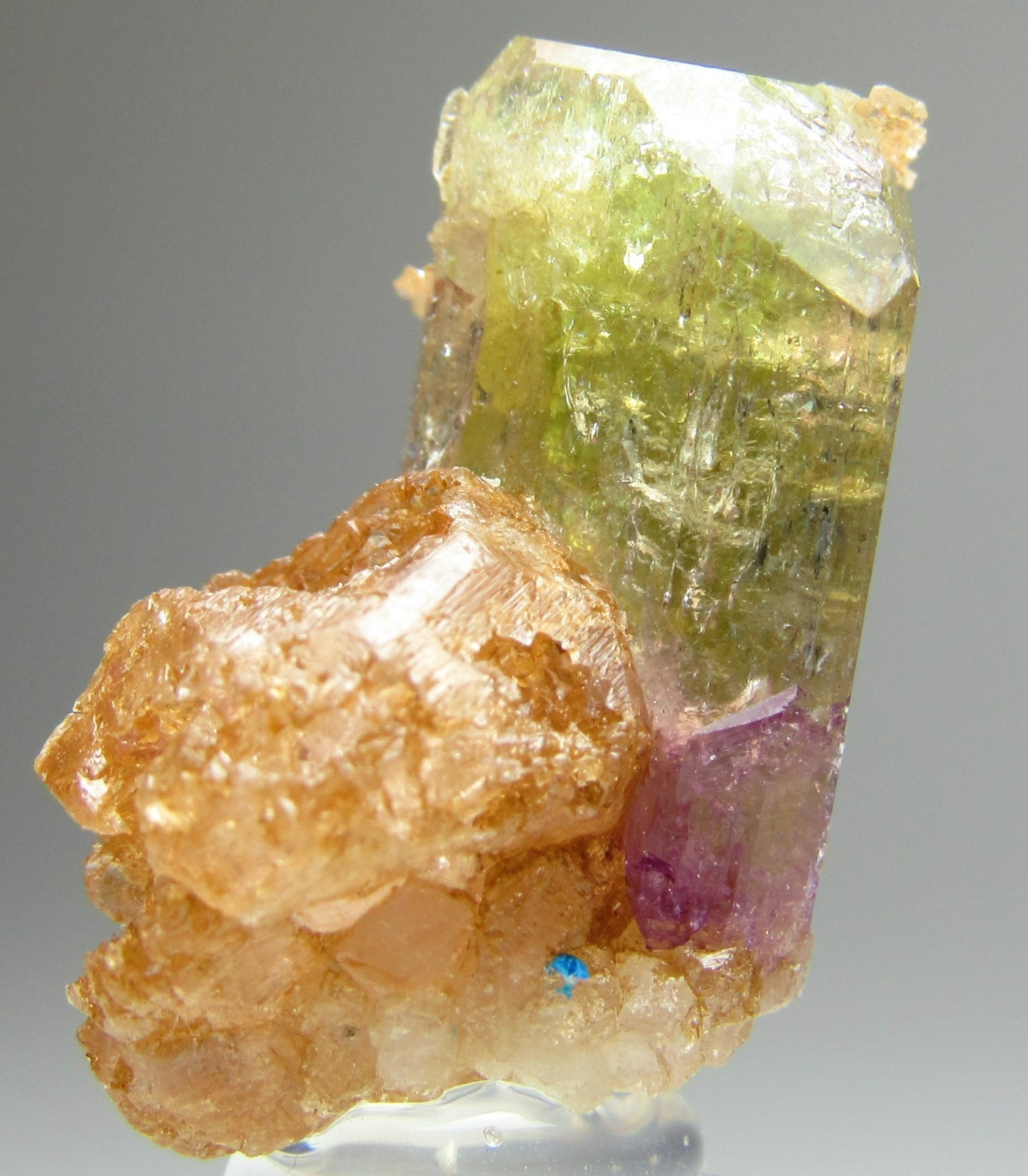 ELEGANT ULTRA RARE COMBO VESUVIANITE, GROSSULAR, DIOPSIDE!!! JEFFREY MINE CANADA