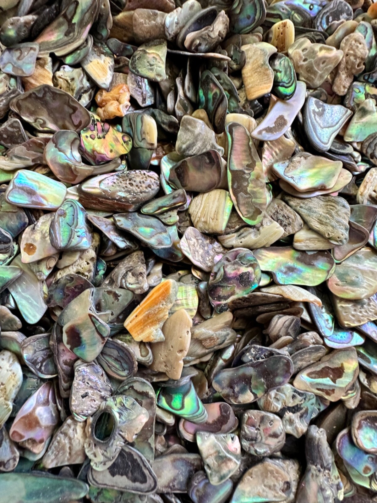 1/2LB Abalone PAUA Shells XS 1/8”-1/2” Reiki Healing Seashells Sorted