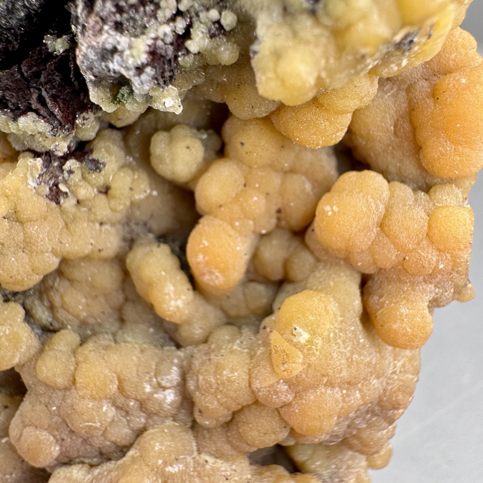 Fine & Unusual Orange Smithsonite: Tsumeb Mine, Tsumeb, Namibia- Classic!!