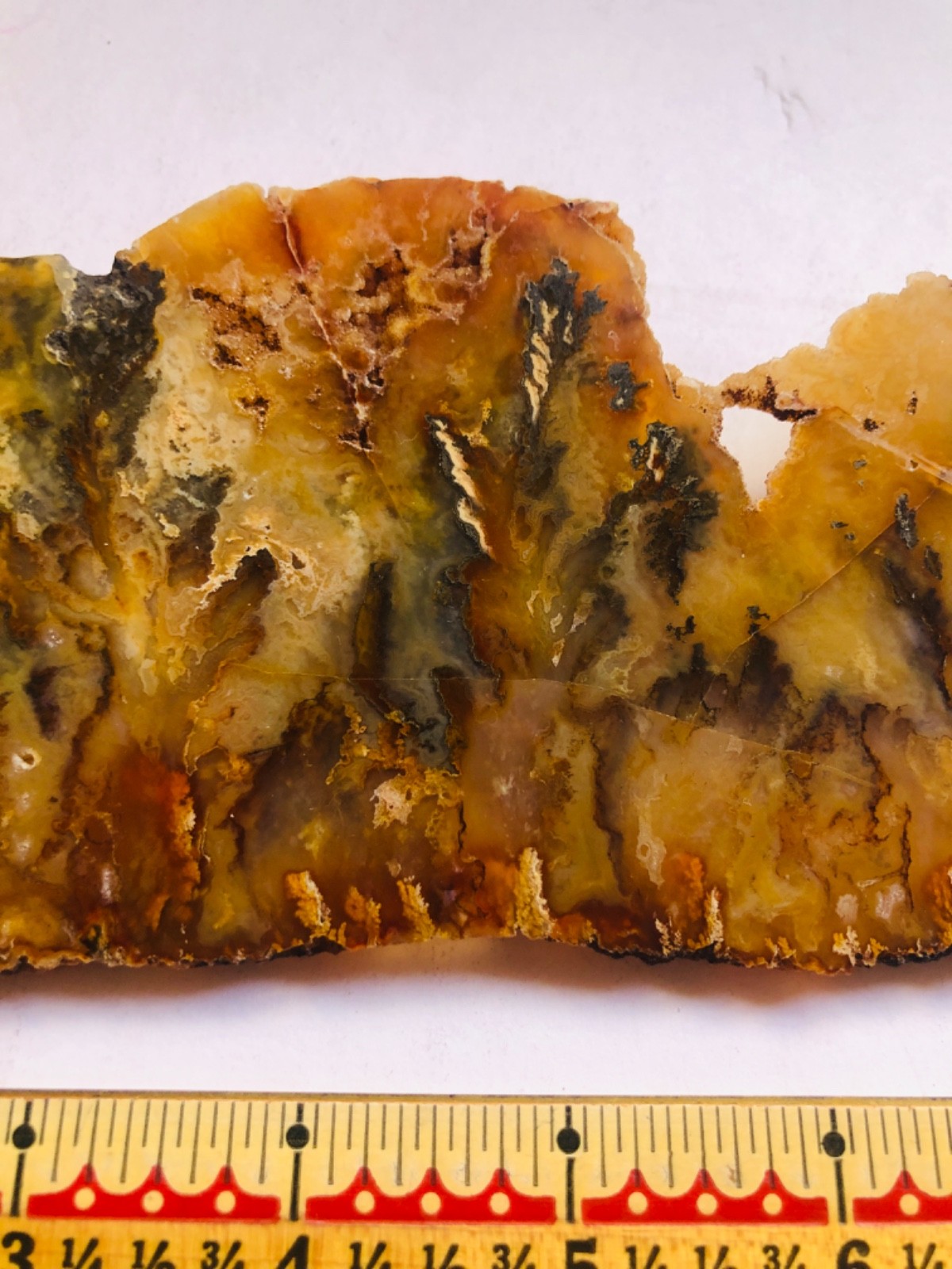 Graveyard Plume Agate Museum Grade Collectors Slab Oregon 202 Grams