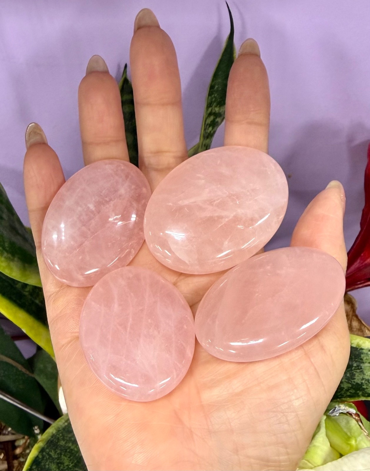 Wholesale Lot 1 Lb Natural Rose Quartz Palm Stones Crystal Healing