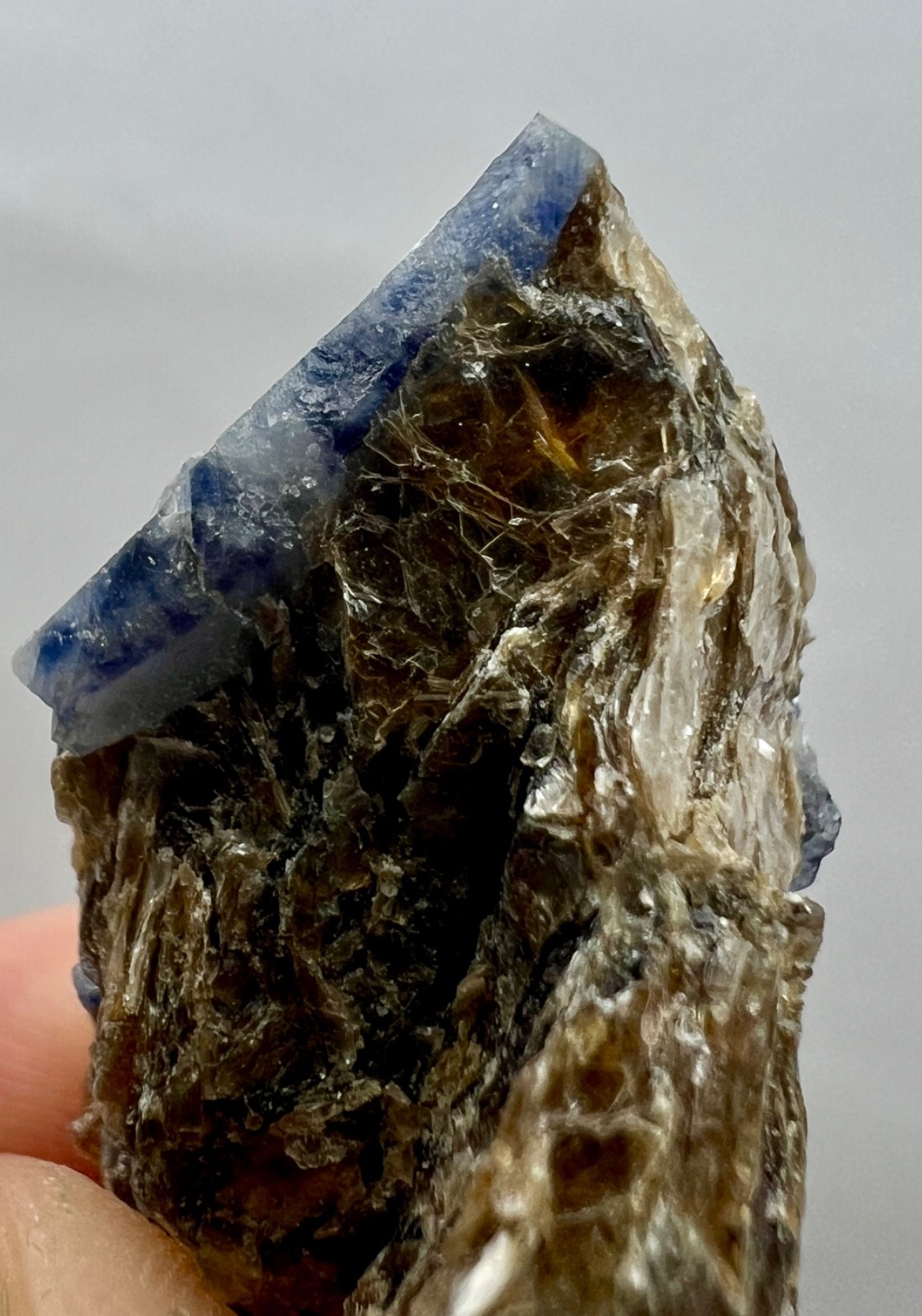 58ct.Natural Blue Sapphire Crystal Cluster on Mica Matrix – Afghanistan Specimen