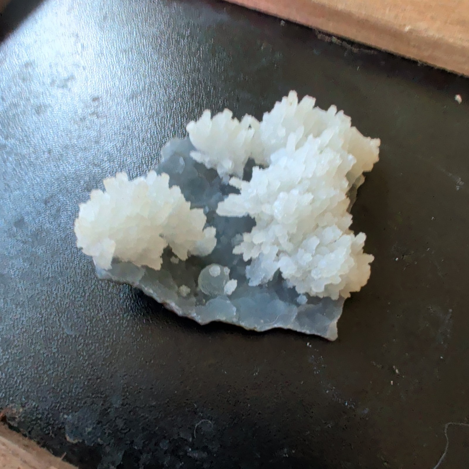 White flower formations atop a blue chalcedony base Mineral Display Piece Raw