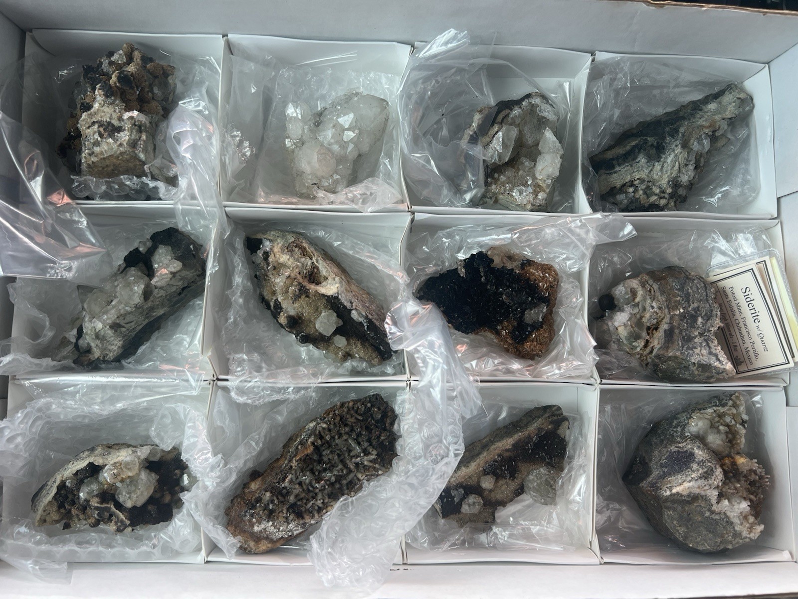 12 Quartz & Siderite Specimens – Potosí Mine, Santa Eulalia, Chihuahua, Mexico