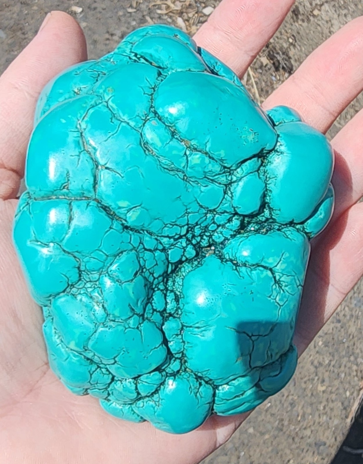 420g Natural Botryoidal Turquoise Rough Gemstone Crystal Mineral Specimen