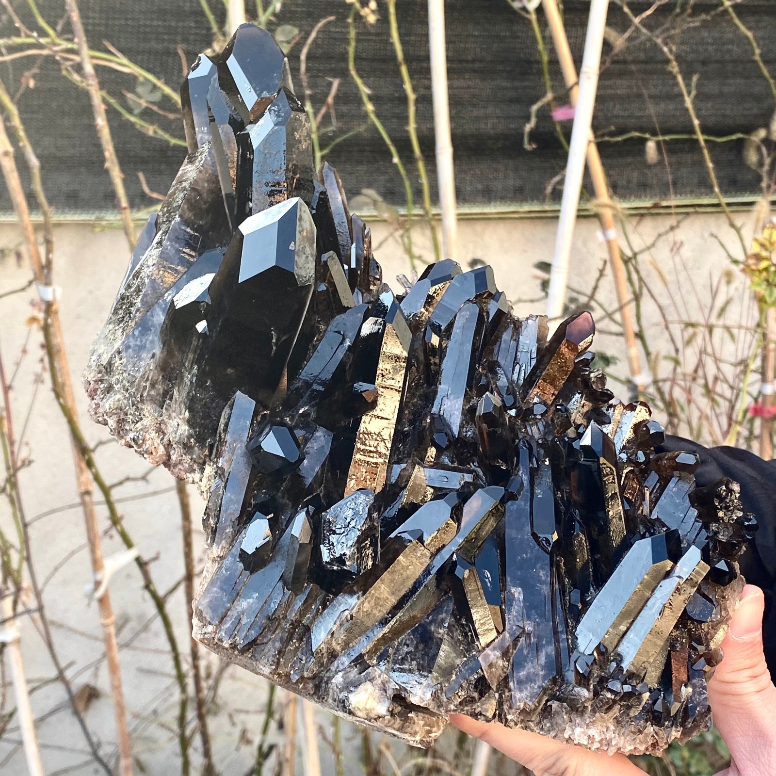 5.25LB Large Natural black Quartz Crystal Cluster Rough Specimen Healing Stone.
