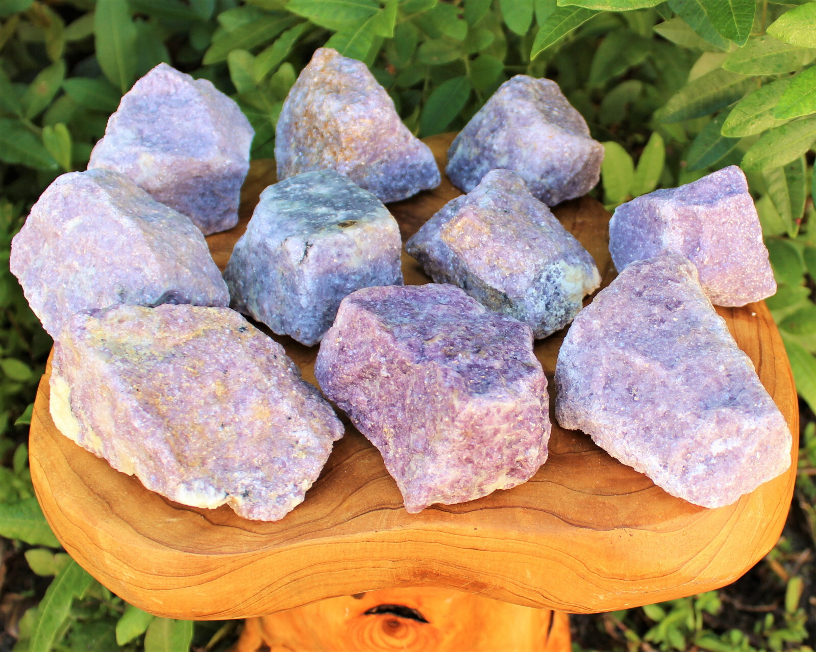 JUMBO Rough Lepidolite: 3″ – 5″ Huge Raw Natural Lepidolite Healing Crystals