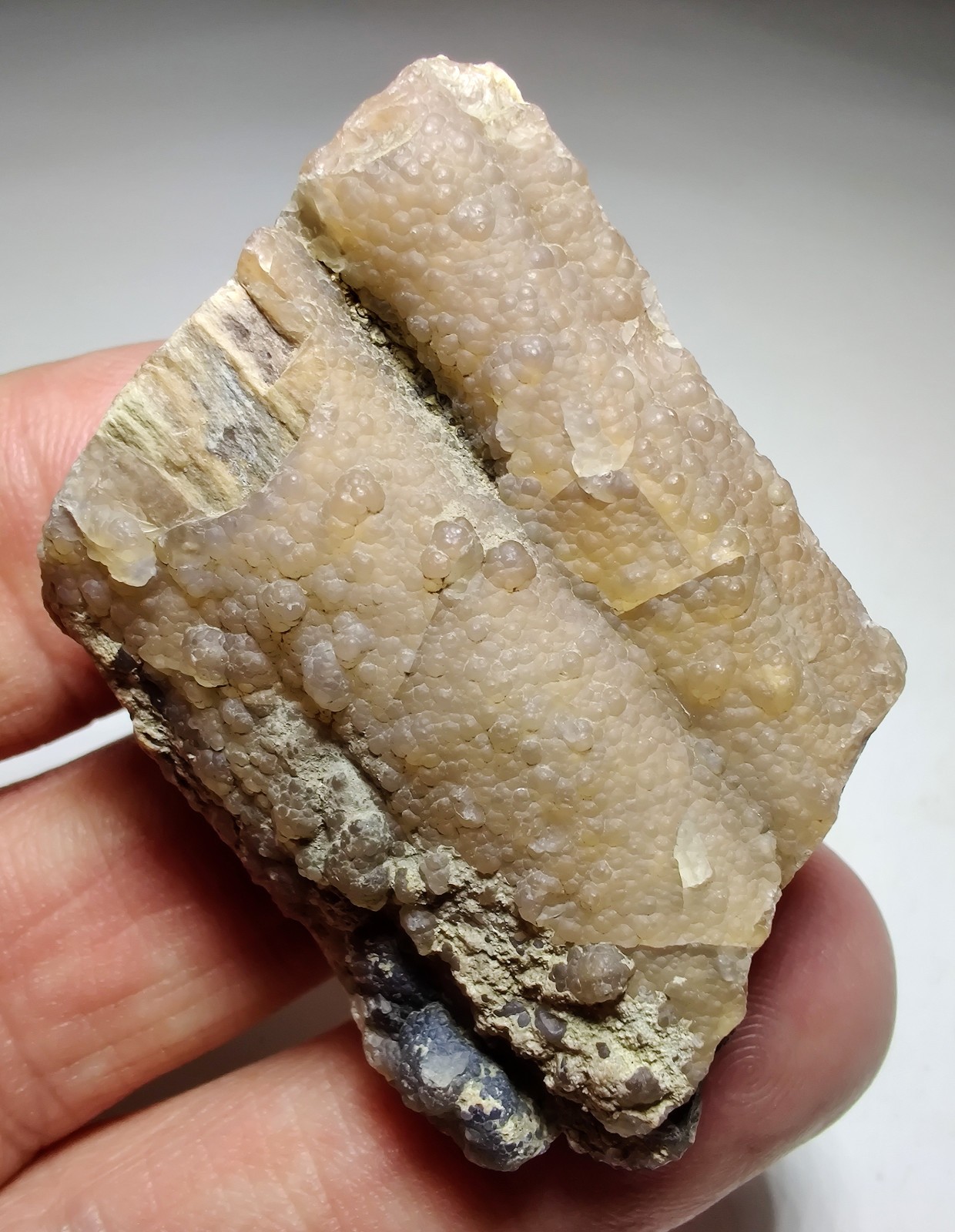 Petrified Wood, Fluorescent. Eden Valley, Wyoming. 36 grams.