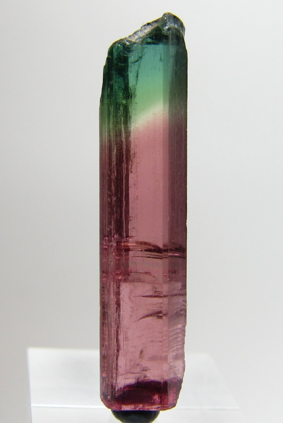 PHENOMENAL RARE FACET GRADE GEM TOURMALINE CRYSTAL!!! MORRO REDONDO BRAZIL
