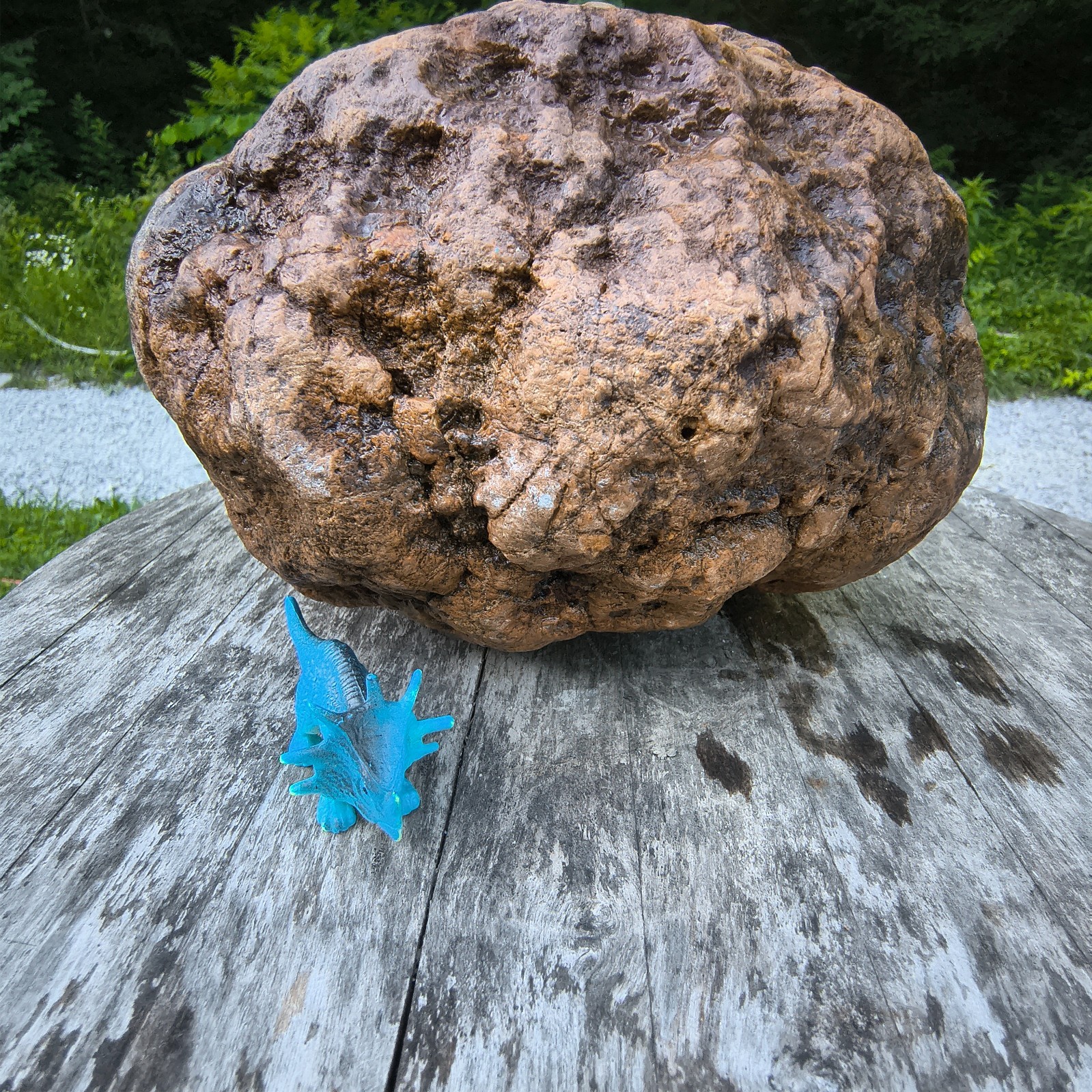 10.07b Kentucky Geode Unopened Natural Crystal Geode + Bonus