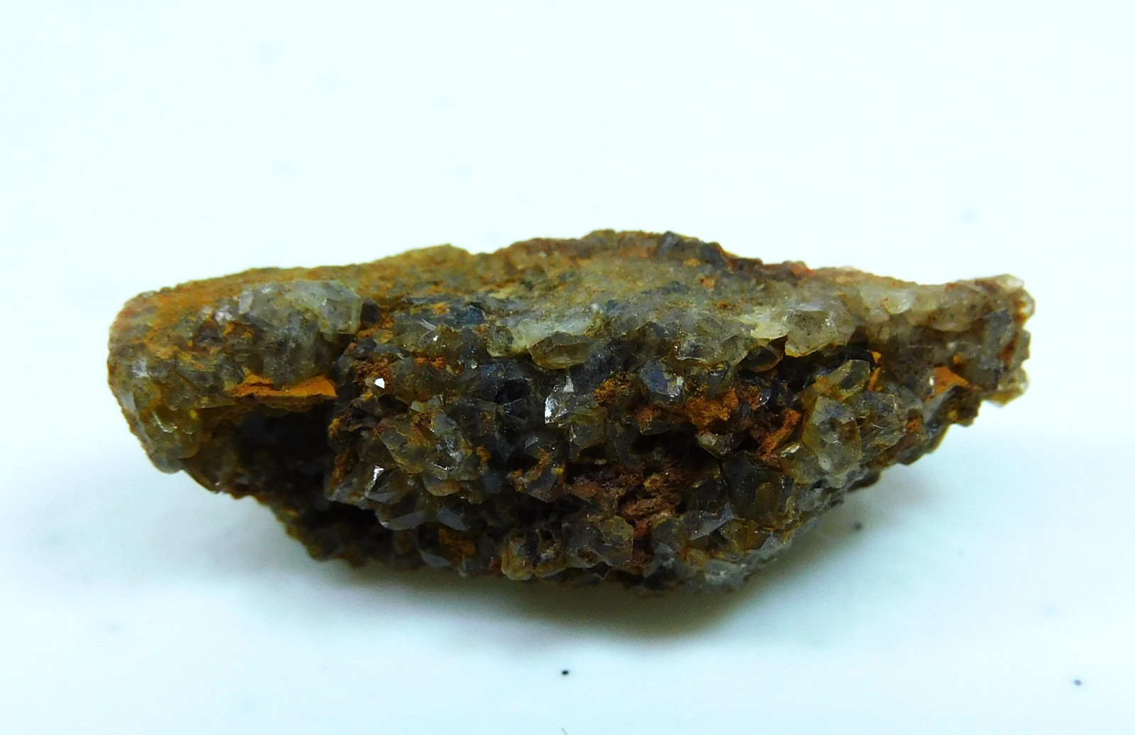 Petrified Wood specimen with brown Crystals From Brilliant Alabama