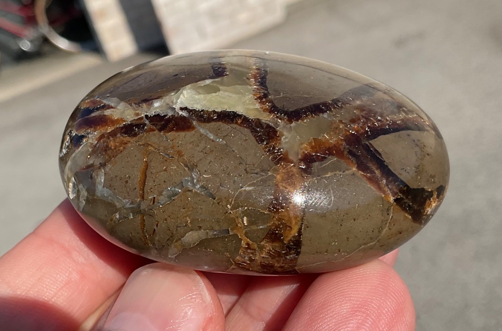118g Polished Septarian Palmstone Dragon Egg Geode Fossil Worry Stone