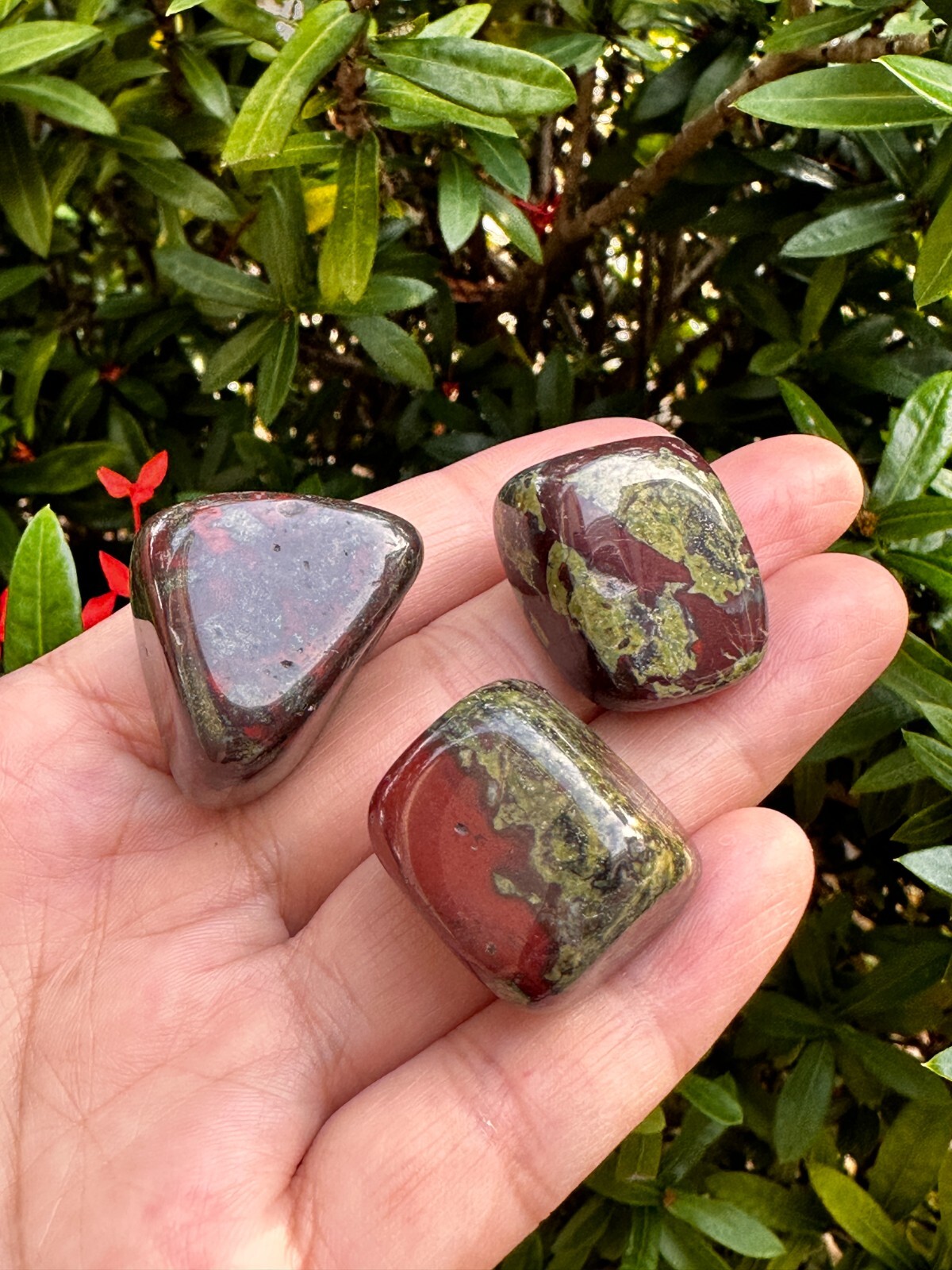 Grade A++Dragon Blood Jasper Tumbled Stones 0.75-1.25″, Wholesale Bulk Lot