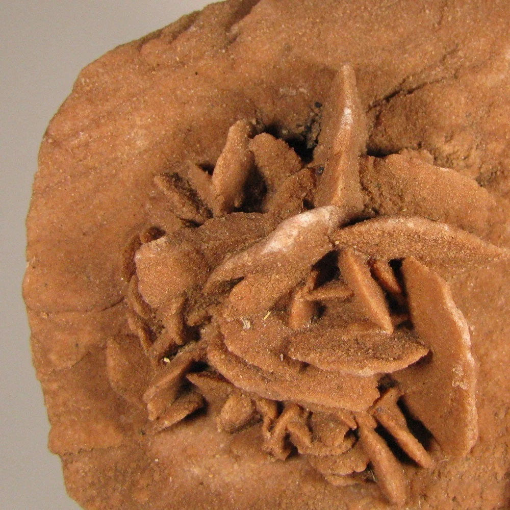 5.8″ Gypsum SELENITE Desert Rose Crystals Cluster – Morocco – 1.2 lbs.