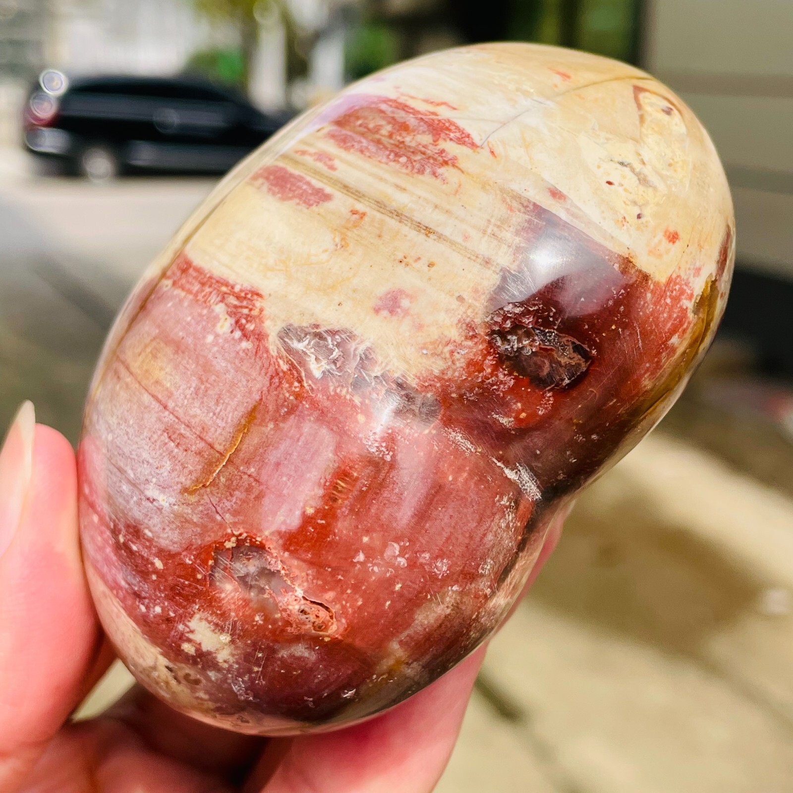 364g Natural Petrified Wood Jade Quartz Crystal Fossil Heart Shape Specimen