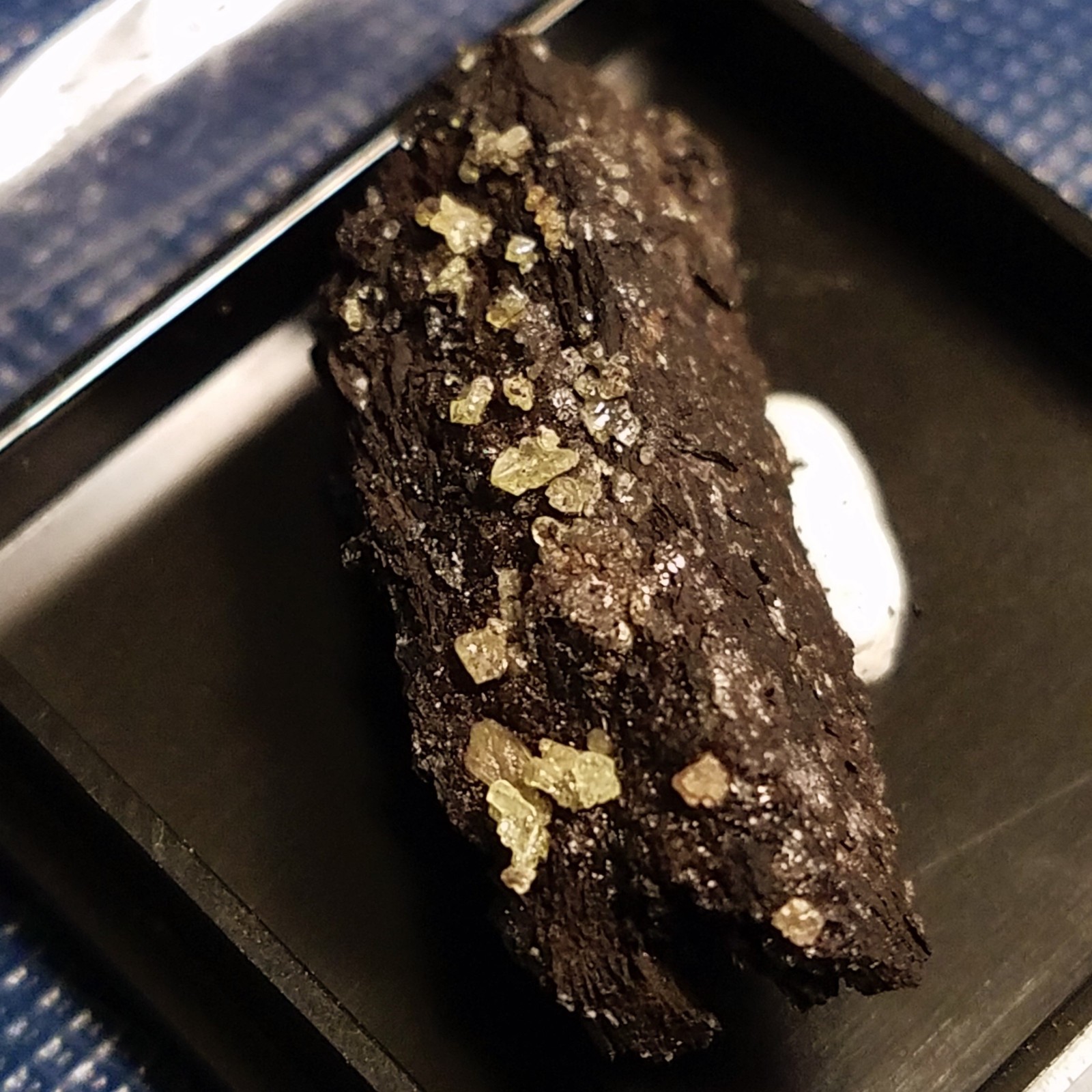 SiG: Tiny Light Pale Yellow Sulphur Crystals on Dark Matrix from Austria