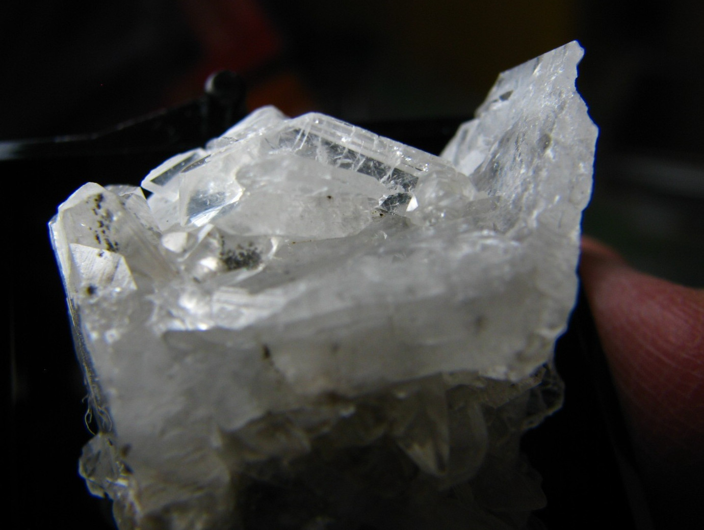 CLEAR/OPAQUE WHITE CELESTINE CRYSTALS MINIATURE IN CASE MICHIGAN USA #066