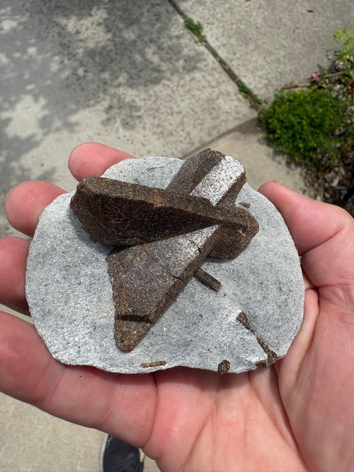 Staurolite, “fairy cross”, Keivy Mountains, Kola Peninsula, Russia