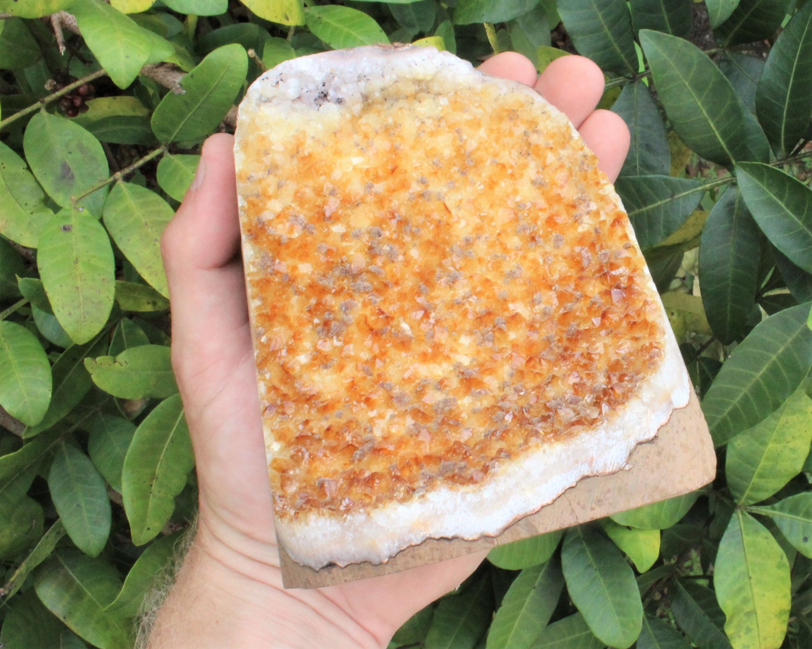 Citrine Cut Base Clusters – CLEARANCE Quality Free Standing Citrine Crystals