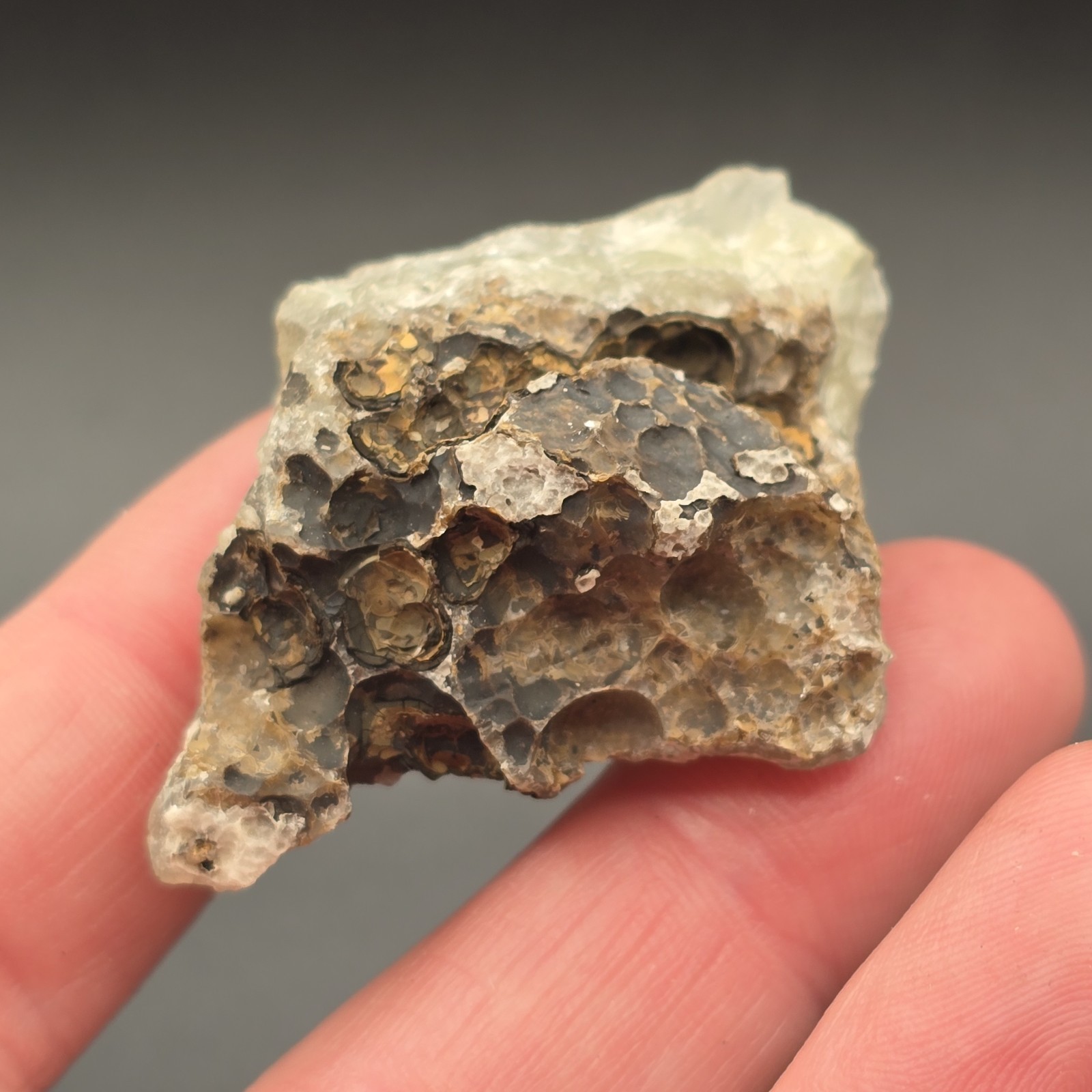 Florescent Smithsonite Botryoidal Specimen Gemstone Crystal Mineral Mexico
