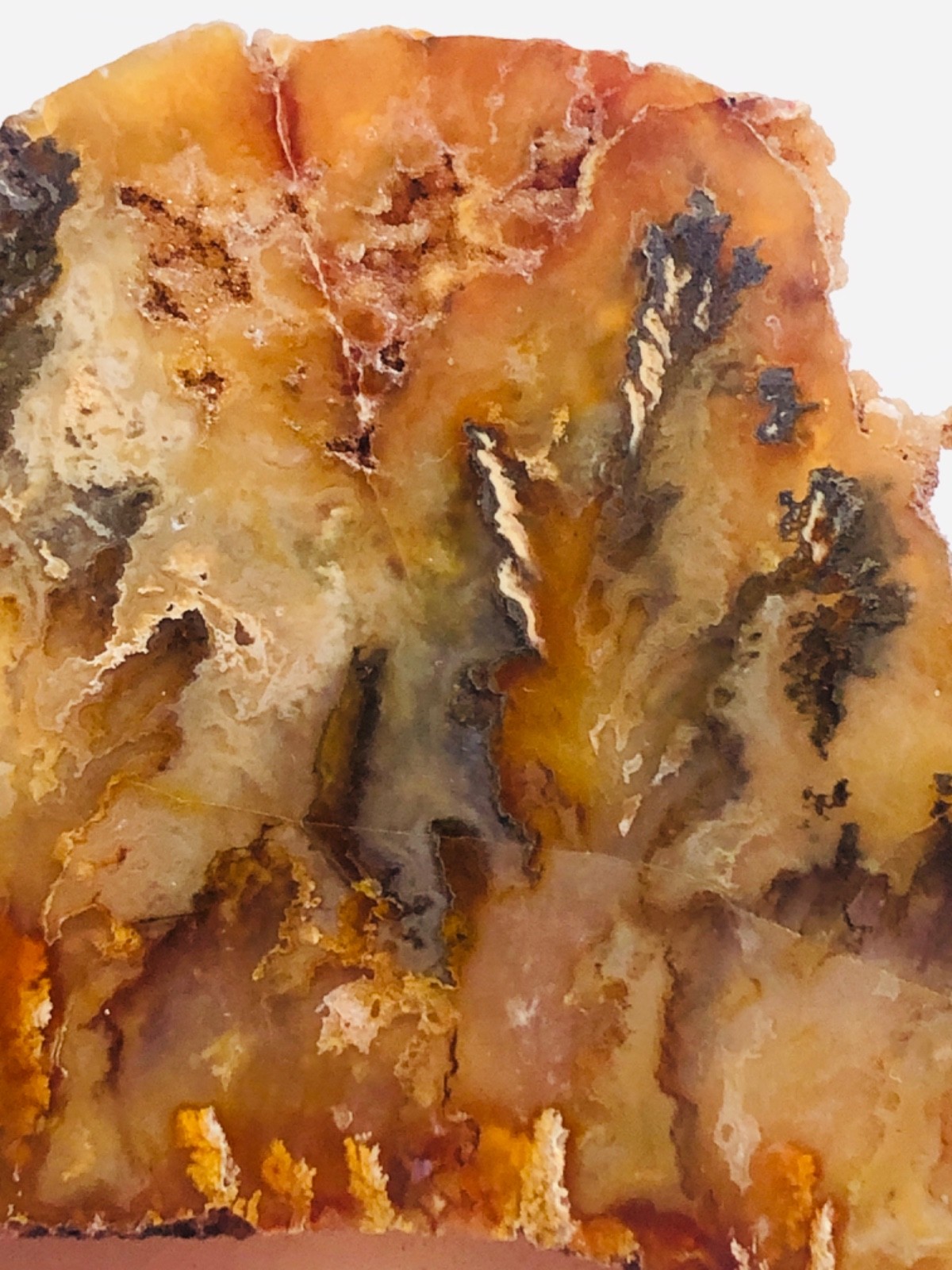 Graveyard Plume Agate Museum Grade Collectors Slab Oregon 202 Grams