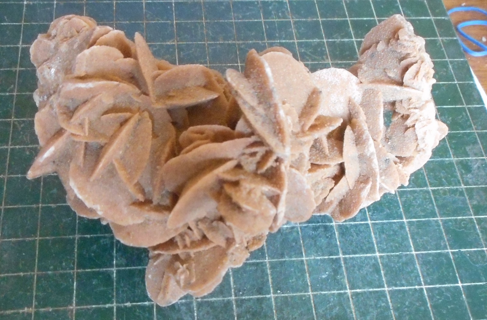 Desert Rose Selenite. Natural. Gypsum. Morocco 5.3″ (13.5 cm). 0.95 Lb