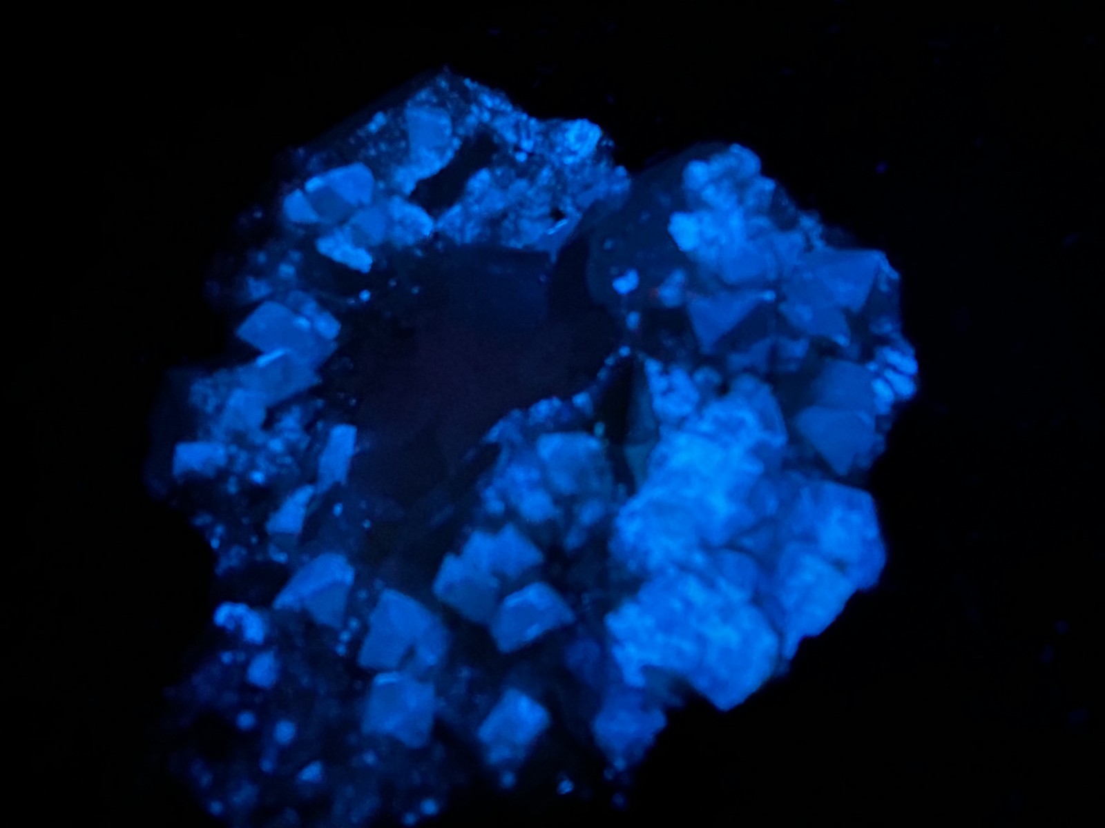 KB: SW FL BRIGHT BLUE/WHITE XLS OF SCHEELITE ON MATRIX, HUNAN PROVINCE, CHINA