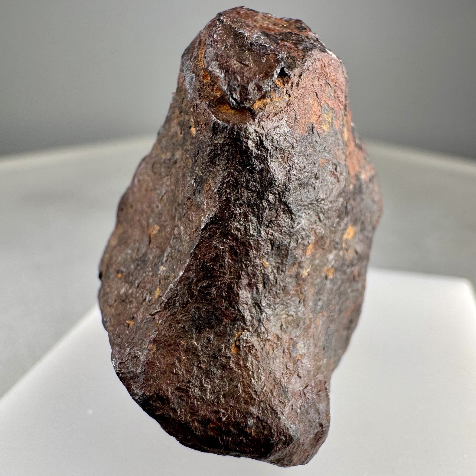 Iron Meteorite: Mundrabilla meteorite, Mundrabilla Roadhouse, Australia