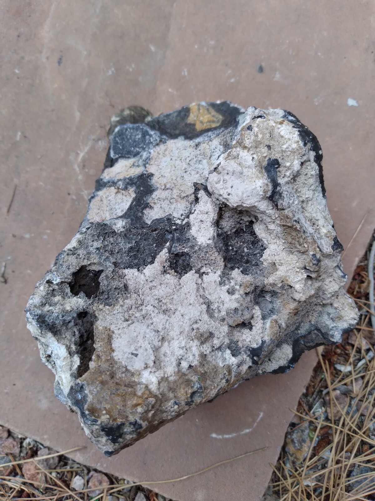 Black And Gold Specimen (New Mexico), 3 lbs & 8 ounces