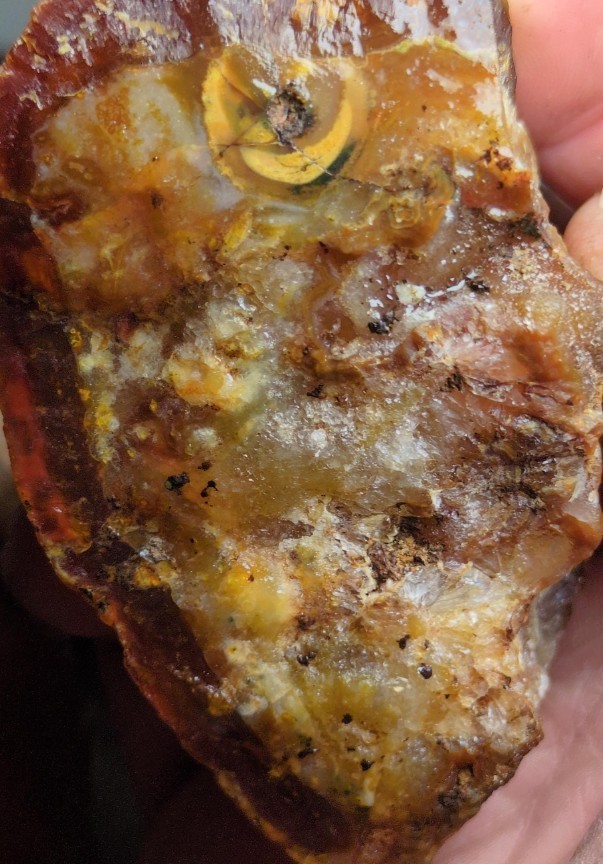 Carnelian Agate in Natural Form 5lb Lot