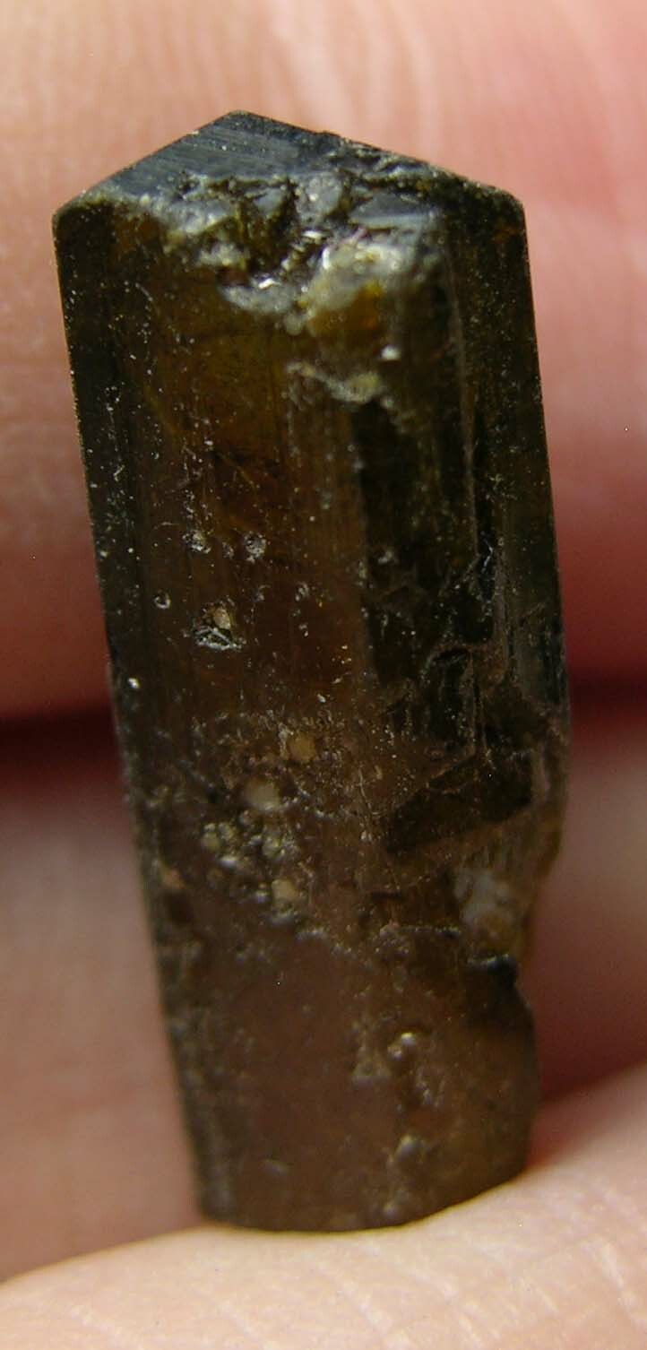 #1 Vietnam 10.50ct Natural Terminated Watermelon Tourmaline Crystal 19mm 2.10g