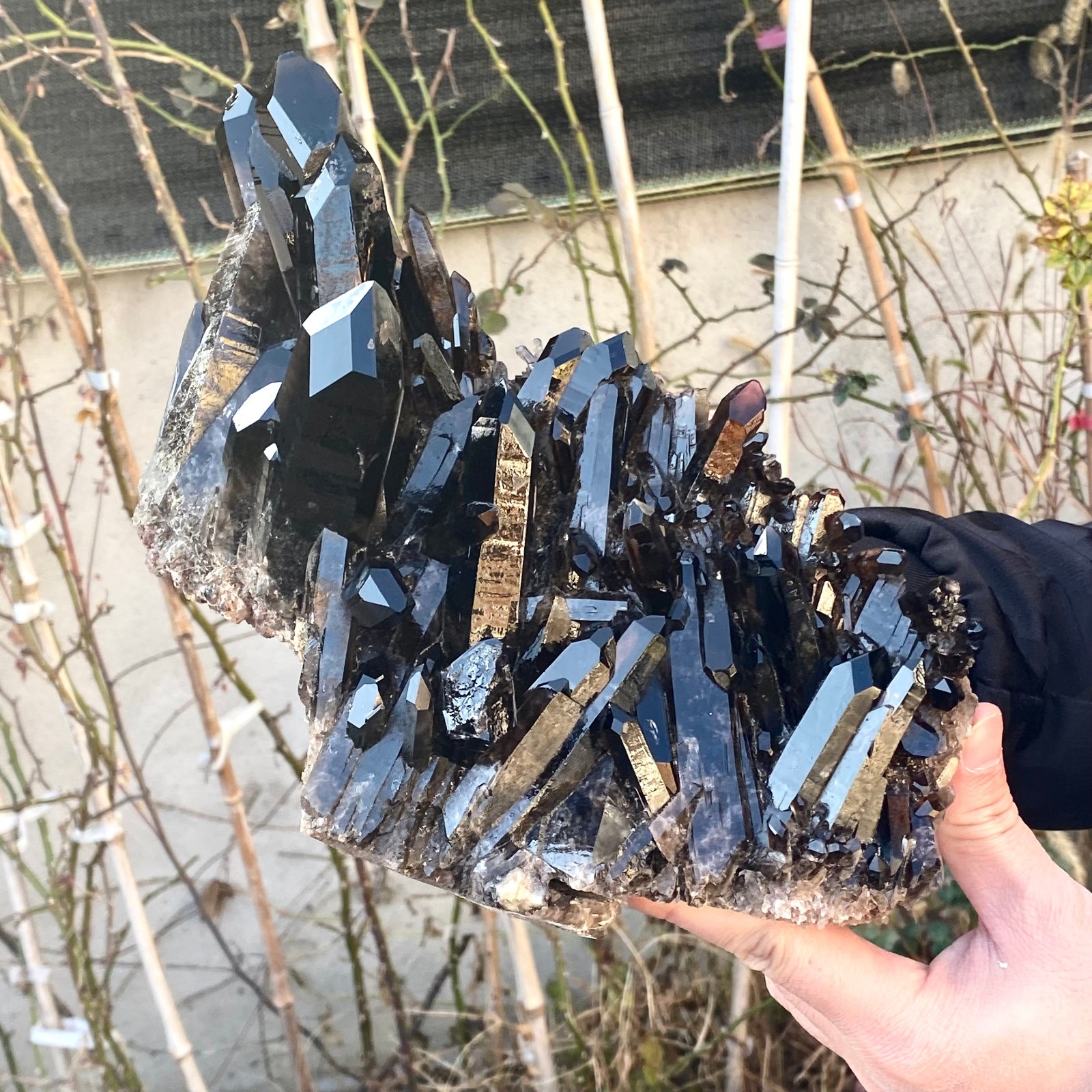 5.25LB Large Natural black Quartz Crystal Cluster Rough Specimen Healing Stone.